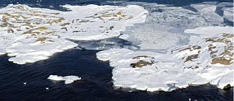 Ouverture de la Conférence de l ONU sur les changements climatiques